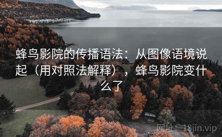 蜂鸟影院的传播语法：从图像语境说起（用对照法解释），蜂鸟影院变什么了